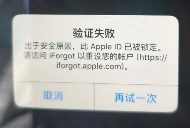 富民iPhone维修分享iPhone上正常登录或使用AppleID怎么办 