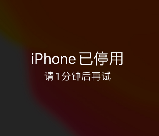 富民苹果手机维修分享:iPhone 显示“不可用”或“已停用”怎么办？还能保留数据吗？ 