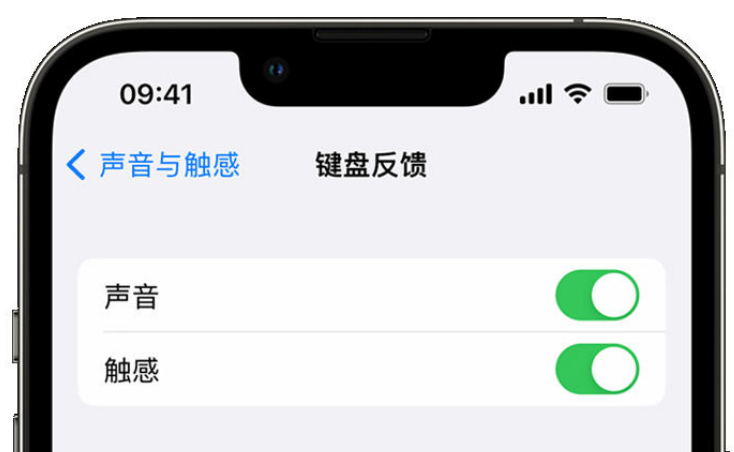 富民苹果手机维修分享iPhone 14触感键盘使用方法 