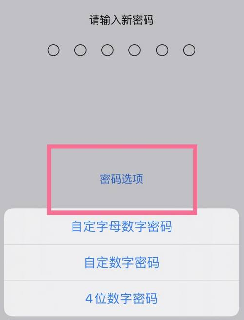 富民苹果14维修分享iPhone 14plus设置密码的方法 