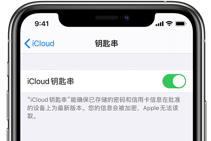 富民苹果手机维修分享在 iPhone 上开启 iCloud 钥匙串之后会储存哪些信息 