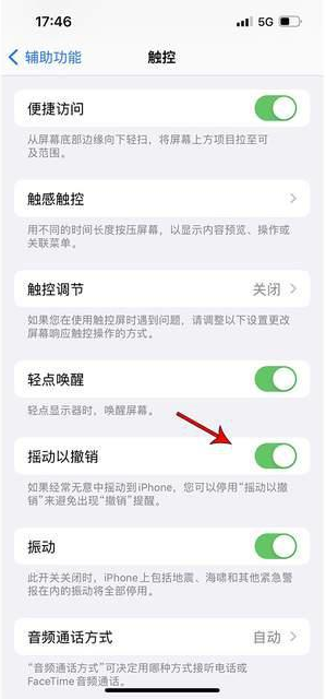 富民苹果手机维修分享iPhone手机如何设置摇一摇删除文字 