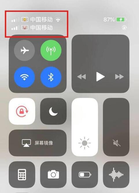 富民苹果手机维修分享为 iPhone 12 双卡设置标签 